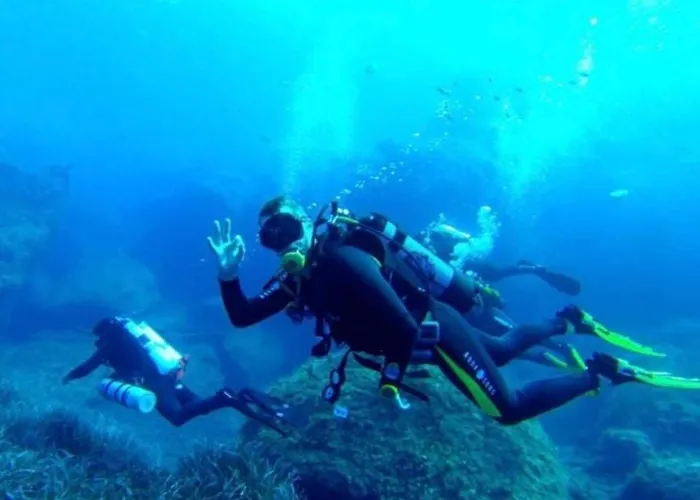 Saint Henry Appartement